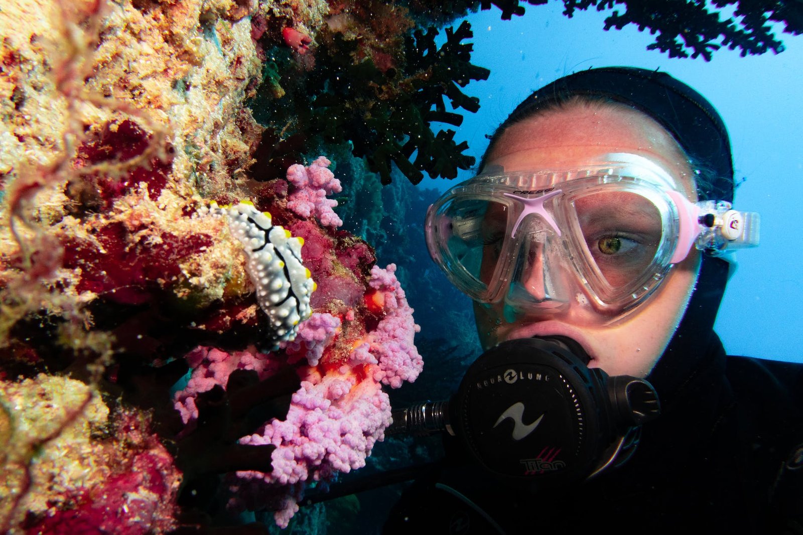 scuba diver snorkeling underwater on coral reef